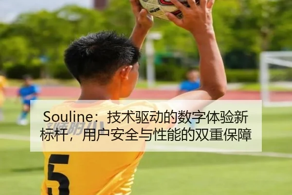 Souline：技术驱动的数字体验新标杆，用户安全与性能的双重保障（leyu）