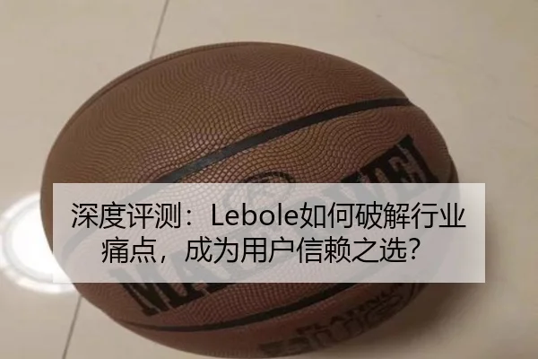 深度评测：Lebole如何破解行业痛点，成为用户信赖之选？