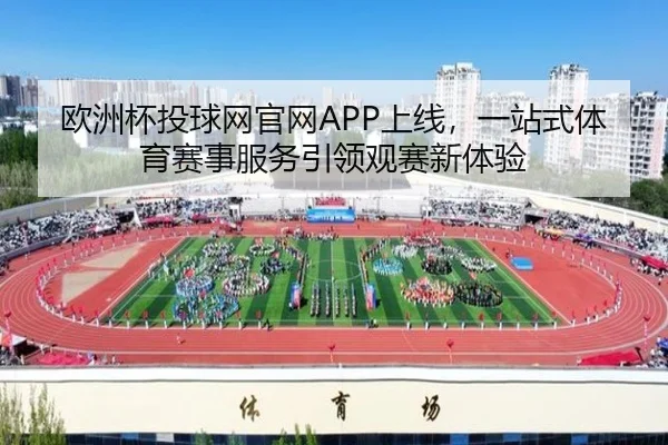 欧洲杯投球网官网APP上线，一站式体育赛事服务引领观赛新体验